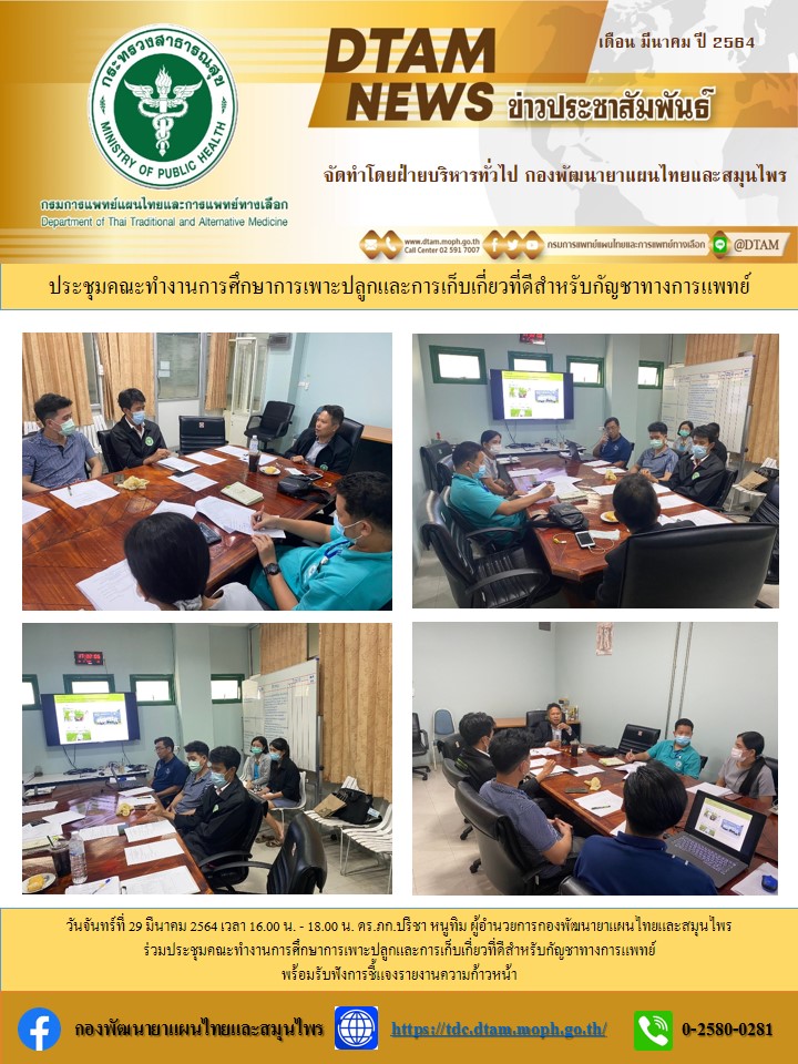 ประชาสมพนธ ประชมคณะทำงานการศกษาการเพาะปลกและการเกบเกยวทดสำหรบกญชาทางการแพทย