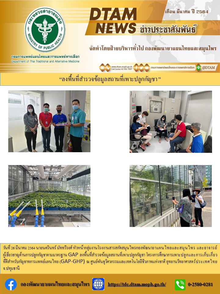 ลงพนทสำรวจขอมลสถานทเพาะปลกกญชา